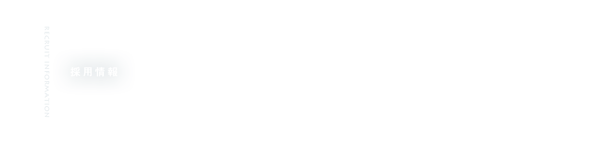 採用情報